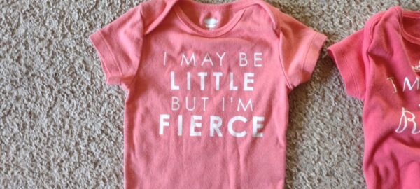 Lot of 3 Baby Girl Clothes 6-12M Months Old Navy & Little Wishes - Image 2